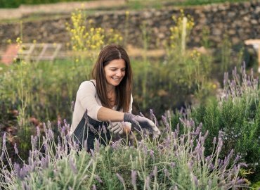 Tarımsal Üretim Sözleşmesi Modeli